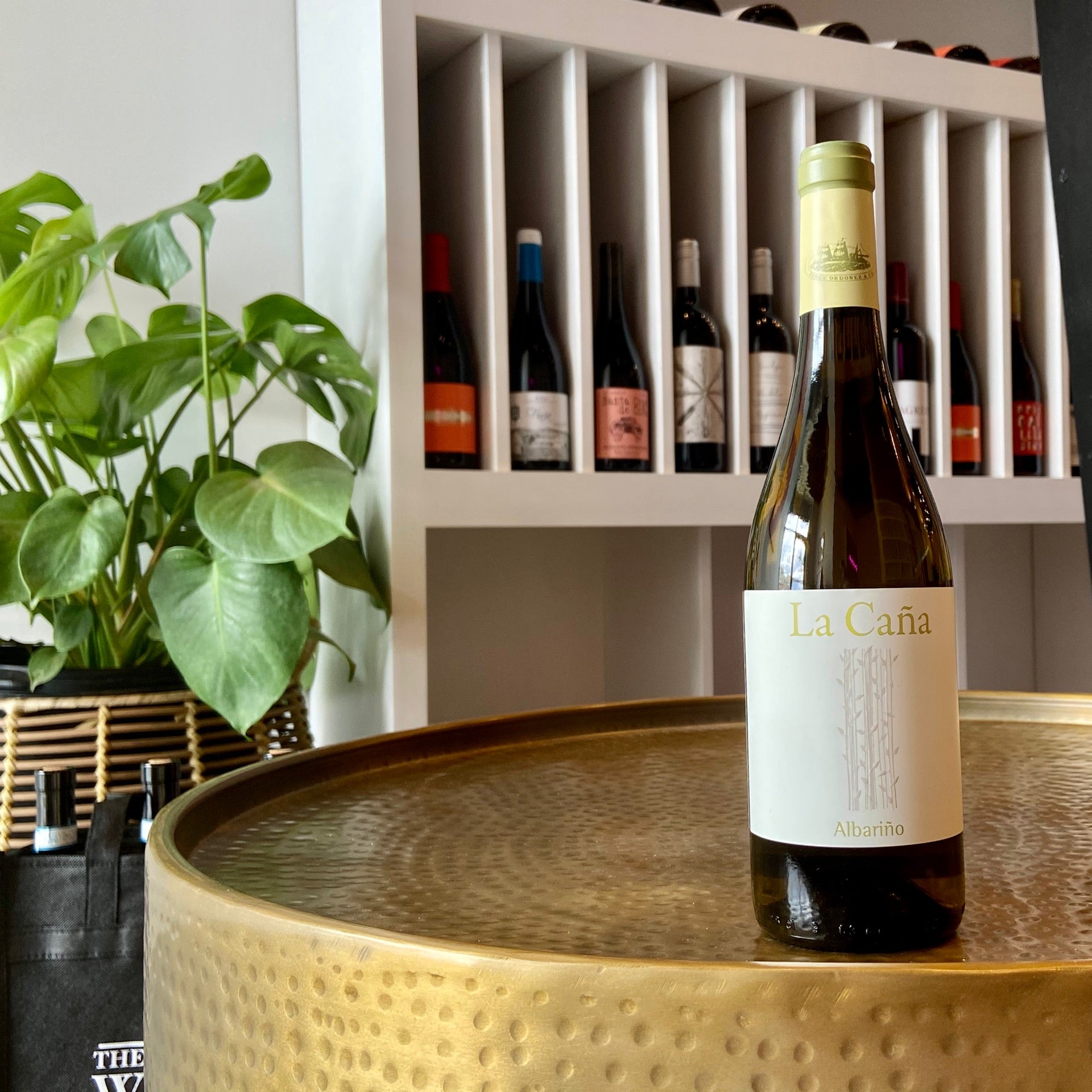 La Caña Albarino The Little Wine Shoppe