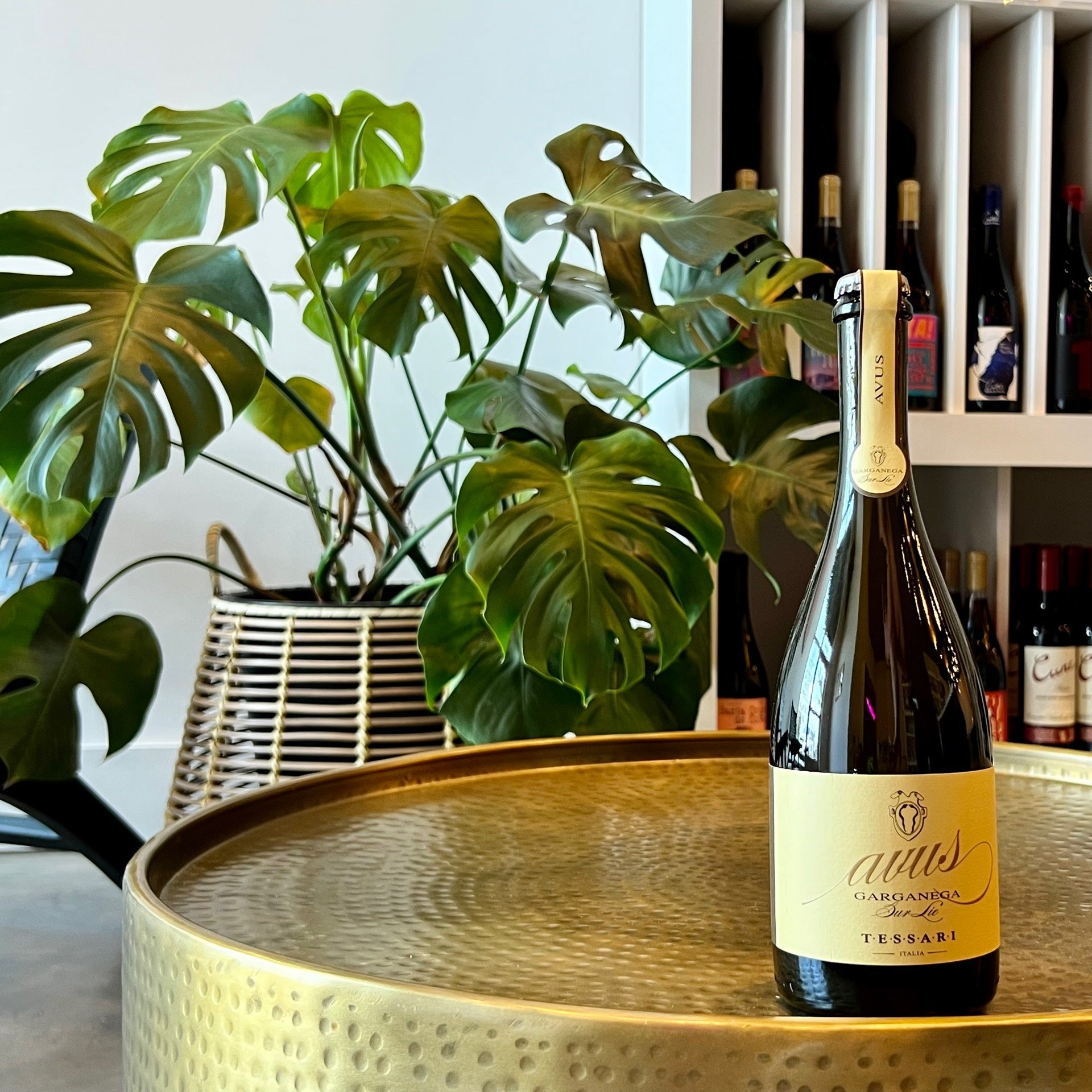 Tessari Avus Garganega Pet Nat | The Little Wine Shoppe